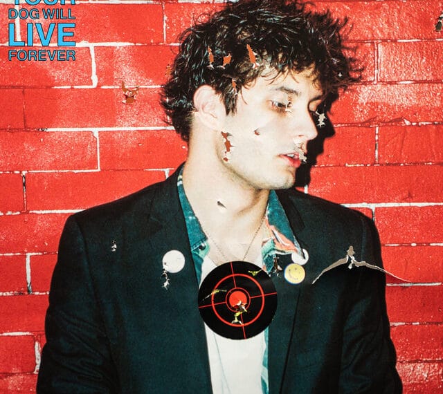 New York Money - Your Dog Will Live Forever (2026)