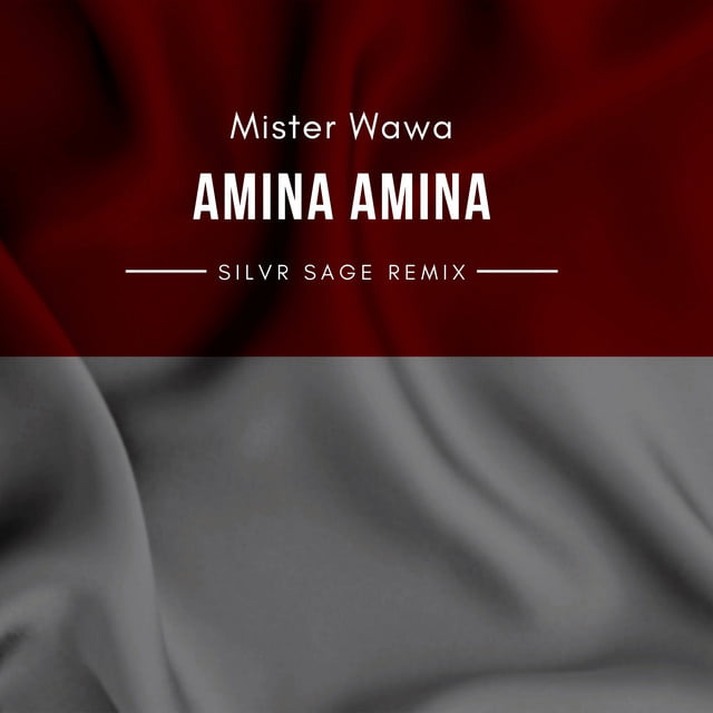 Mister Wawa - Amina Amina - Silvr Sage Remix (2024)